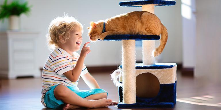 Child with cat