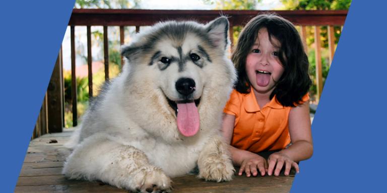 Dog and child on an outdoor deck.