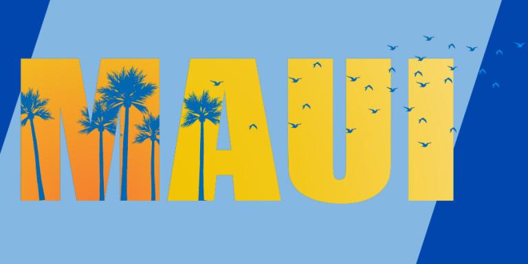 Orange "Maui" text on blue background with palm trees and birds.