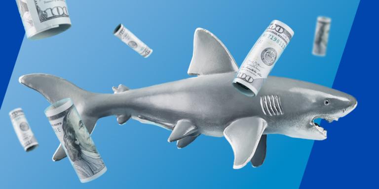 Toothy shark in the center surrounded by 100 dollar bills on a blue background.