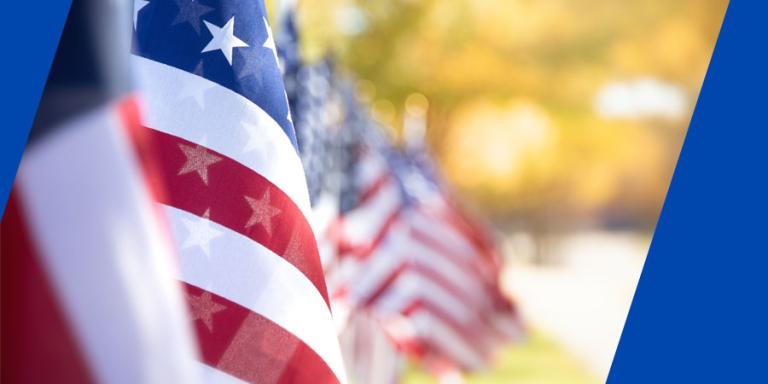 Row of United States flags along a street.