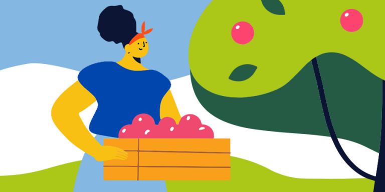 Illustration of woman in an apple orchard holding a crate of apples.