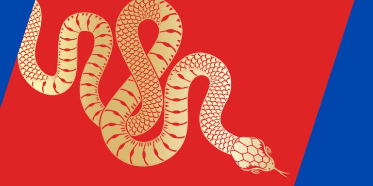 Year of the Snake